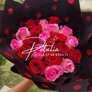Bicolores - T3 rose et rouge