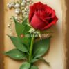 Bouquet - Rose et muguets (2)